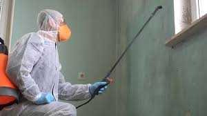 Professional Mold Prevention & Removal  in Mountain View, NC